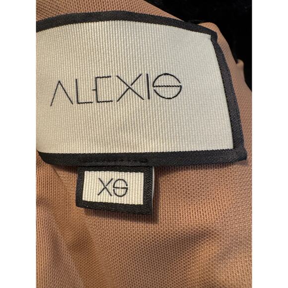 Alexis Raffia Flounce Lace Mini Dress size XS $545 - Picture 4 of 7